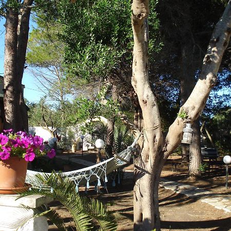 קונקה ספקיולה Breezes B&B מראה חיצוני תמונה