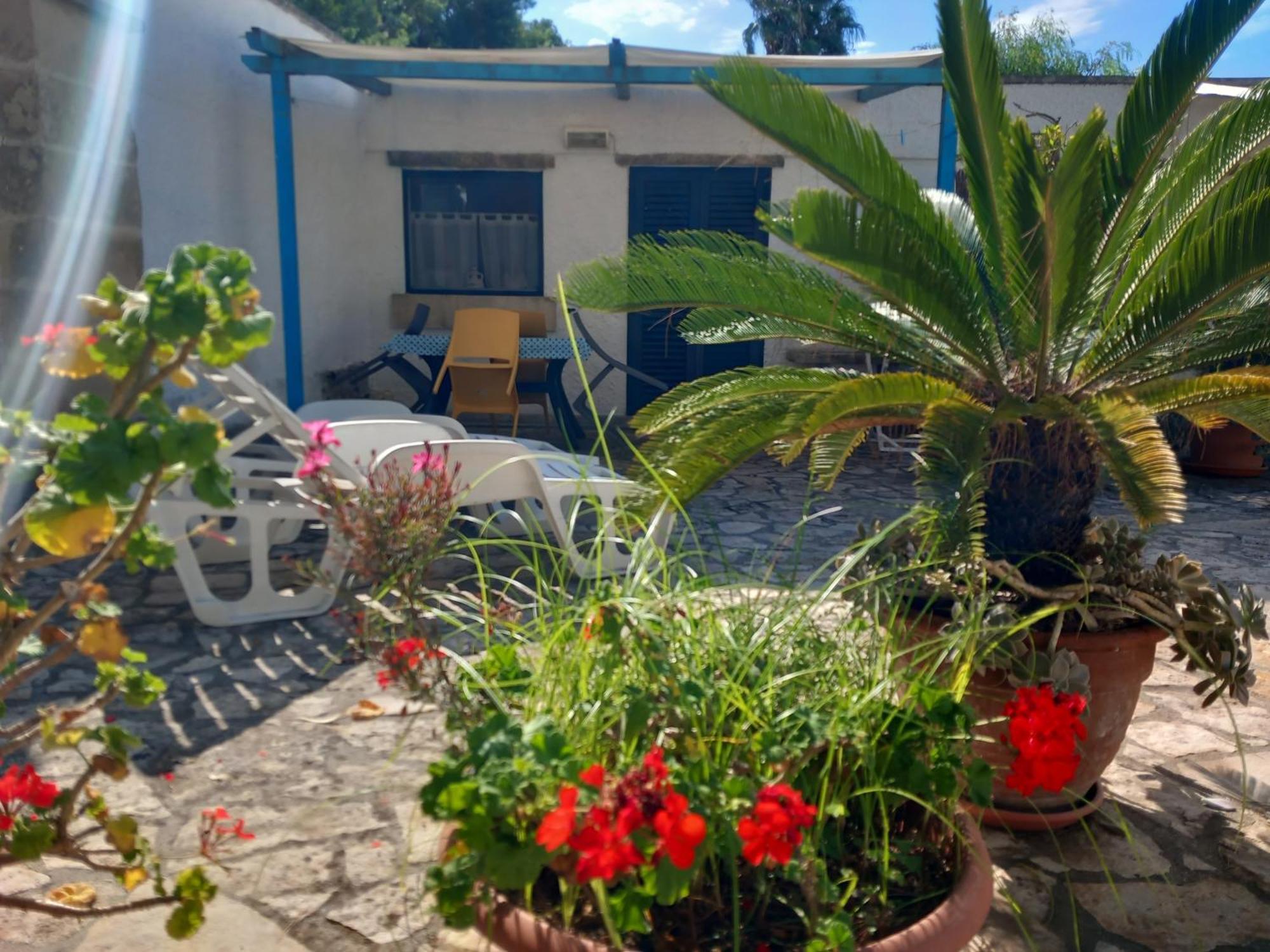 קונקה ספקיולה Breezes B&B מראה חיצוני תמונה