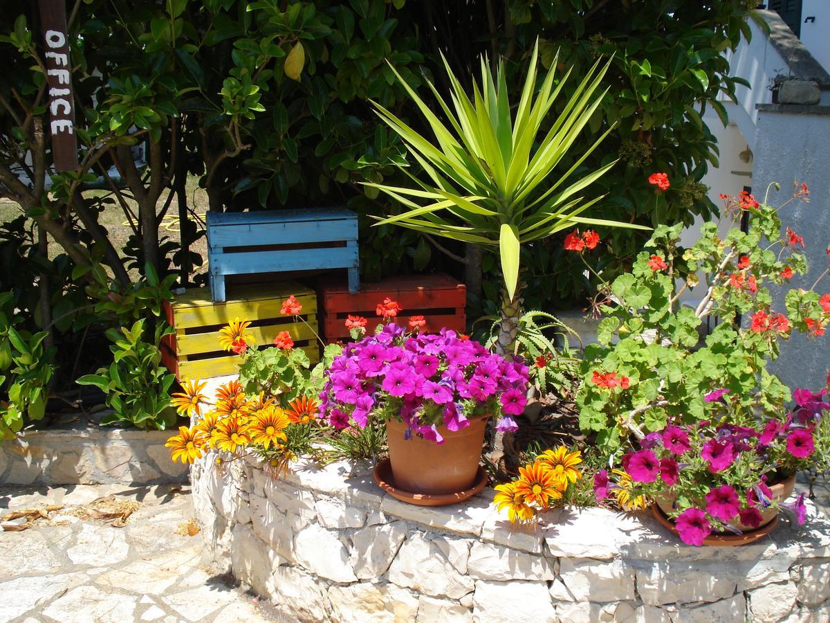 קונקה ספקיולה Breezes B&B מראה חיצוני תמונה