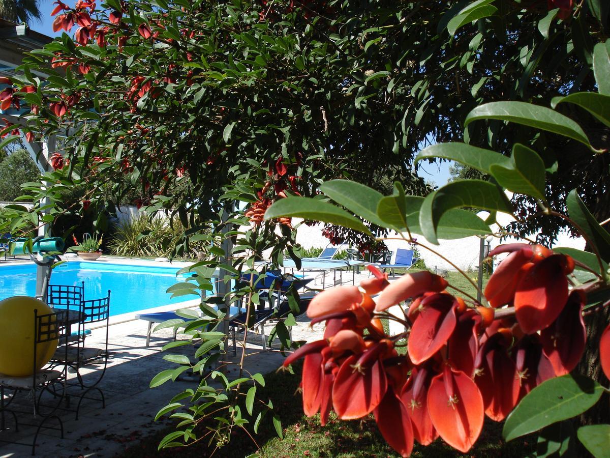 קונקה ספקיולה Breezes B&B מראה חיצוני תמונה