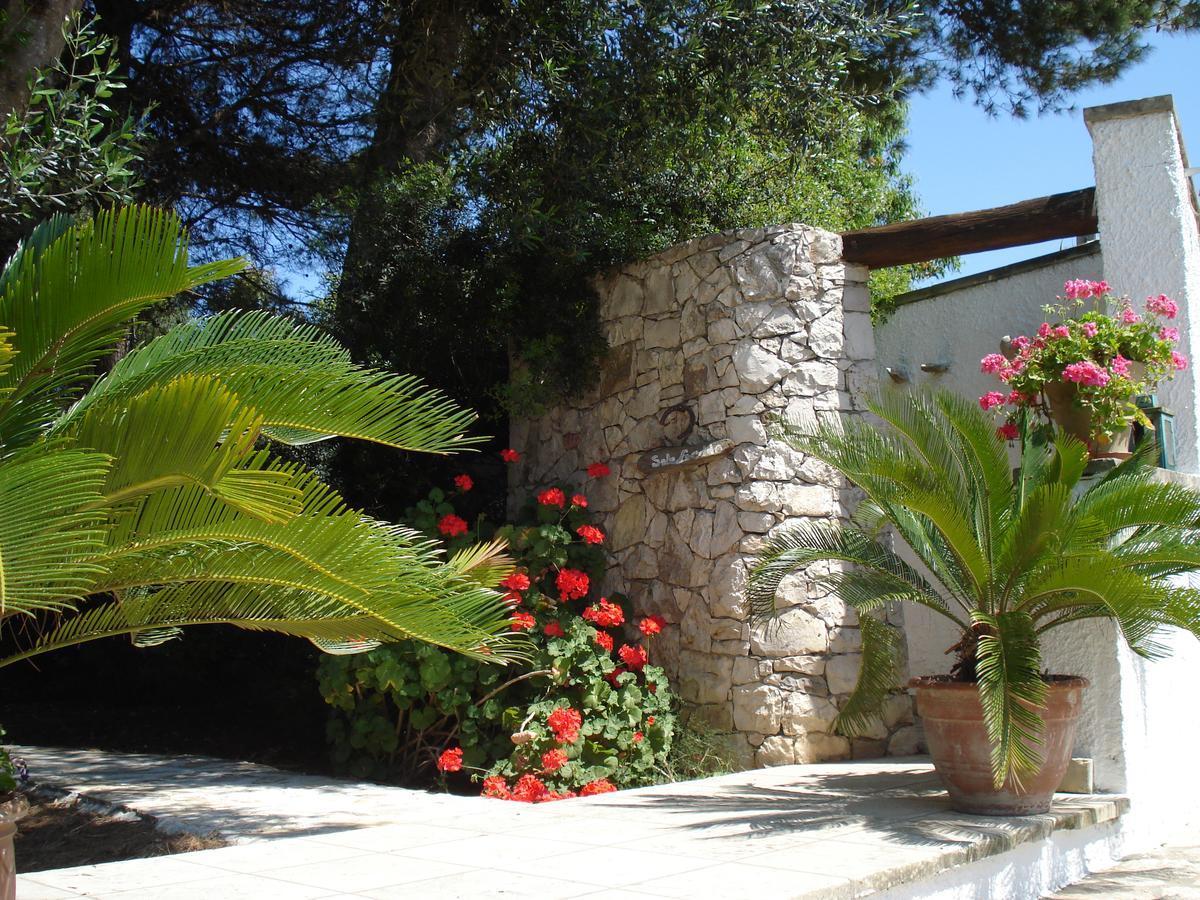 קונקה ספקיולה Breezes B&B מראה חיצוני תמונה